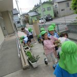 みんなで球根、持っていこう！