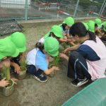 苗植え上手にできたよ！