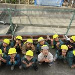 きれいなチューリップが咲きますように🌷