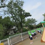 木にとまっているね・・